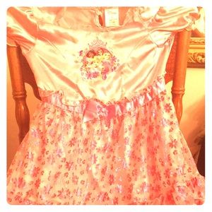 Disney princess dress.